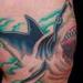 Tattoos - shark tattoo - 73296